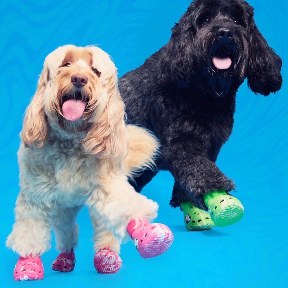 CROCS Vibrant Dog Paw Shoes in Pink and Green